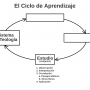 ciclo_de_aprendizaje_02a_estudio_con_explicacion.png